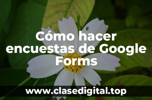 Cómo hacer encuestas de Google Forms