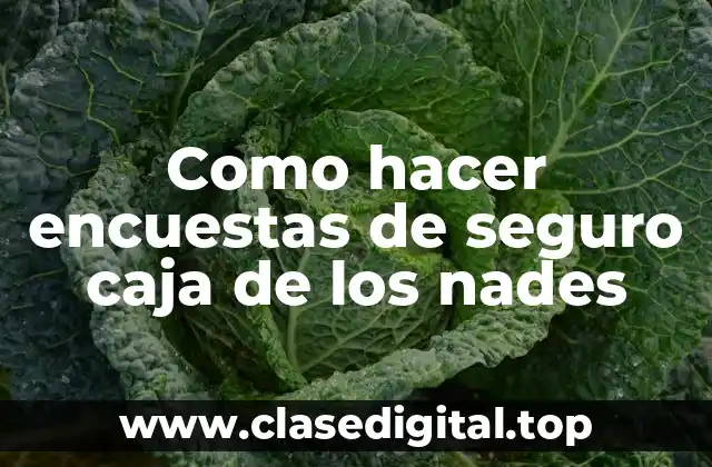 Como hacer encuestas de seguro caja de los nades