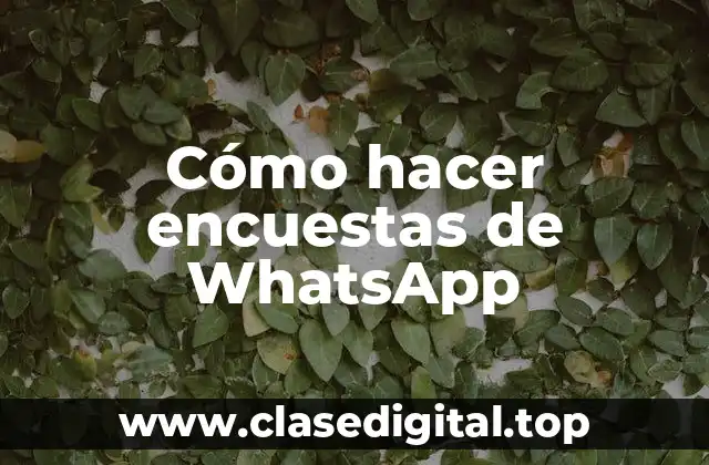 Cómo hacer encuestas de WhatsApp
