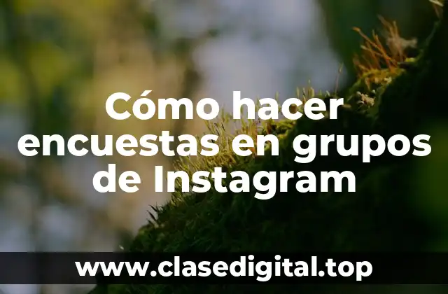 Cómo hacer encuestas en grupos de Instagram