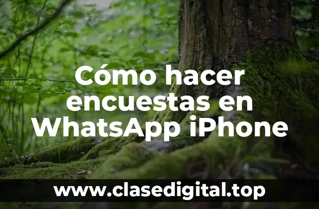 Cómo hacer encuestas en WhatsApp iPhone