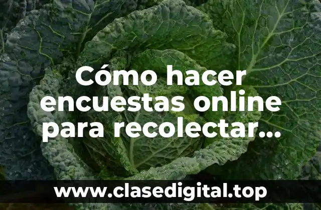 Cómo hacer encuestas online para recolectar datos