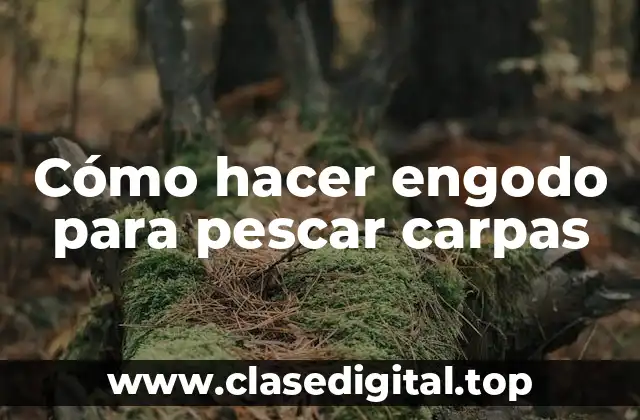 Cómo hacer engodo para pescar carpas