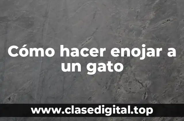 Cómo hacer enojar a un gato