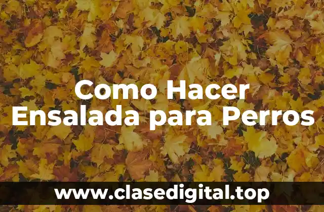 Como Hacer Ensalada para Perros