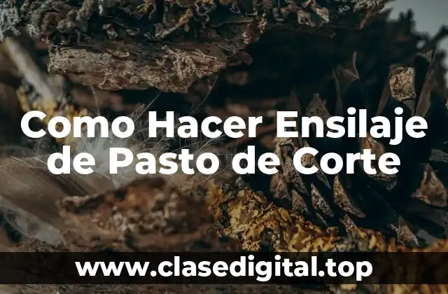 Como Hacer Ensilaje de Pasto de Corte