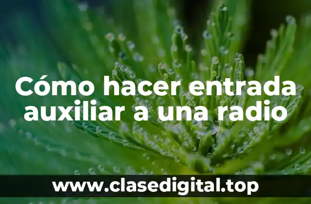 ¿Qué es una entrada auxiliar y para qué sirve en una radio?