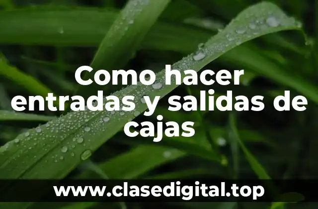 Como hacer entradas y salidas de cajas
