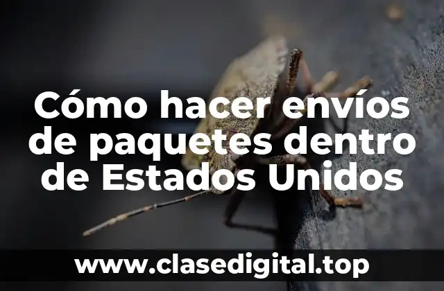Cómo hacer envíos de paquetes dentro de Estados Unidos