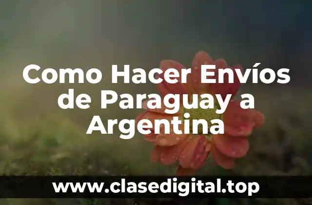 Como Hacer Envíos de Paraguay a Argentina