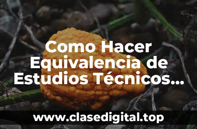 Como Hacer Equivalencia de Estudios Técnicos entre Venezuela y Chile