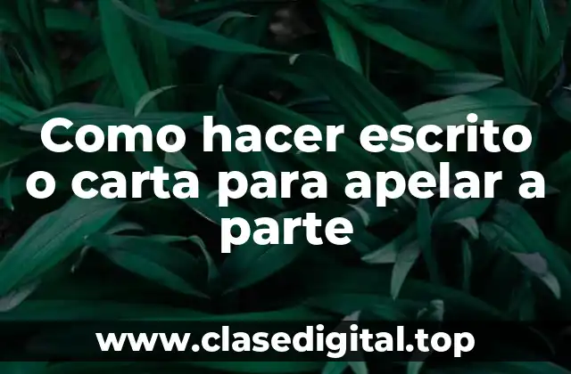 Como hacer escrito o carta para apelar a parte