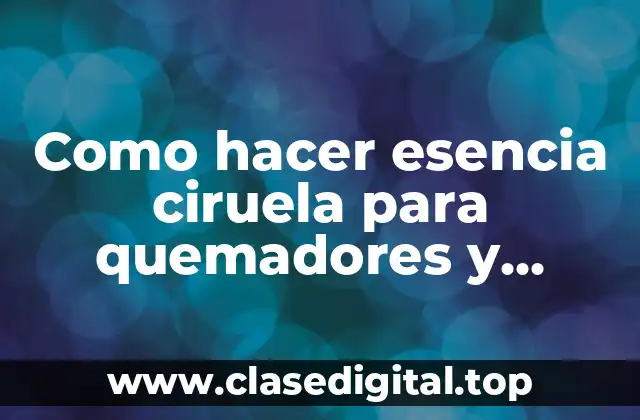 Como hacer esencia ciruela para quemadores y hornos