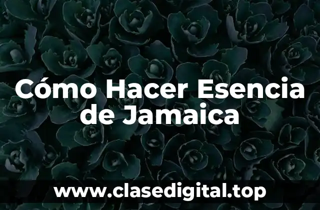 Cómo Hacer Esencia de Jamaica