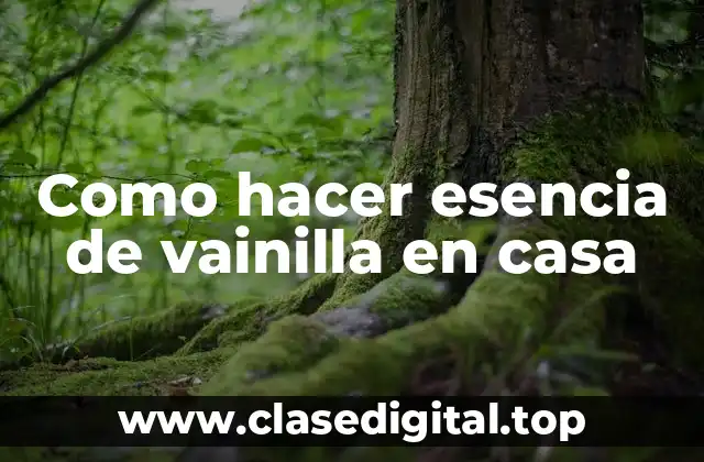 Como hacer esencia de vainilla en casa