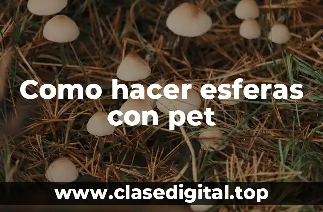 Como hacer esferas con pet