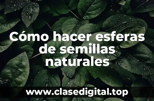 Cómo hacer esferas de semillas naturales