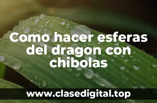 Como hacer esferas del dragon con chibolas