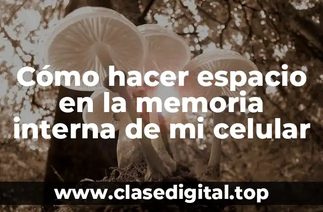 Cómo hacer espacio en la memoria interna de mi celular