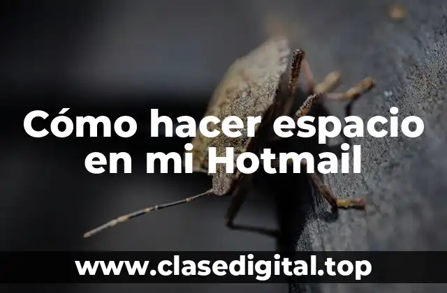 Cómo hacer espacio en mi Hotmail