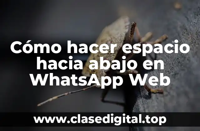Cómo hacer espacio hacia abajo en WhatsApp Web