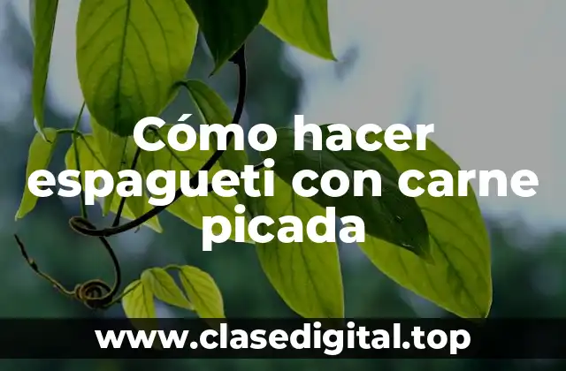 Cómo hacer espagueti con carne picada