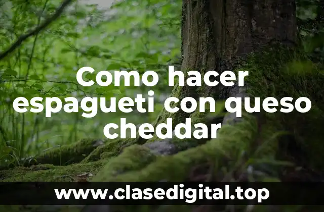 Como hacer espagueti con queso cheddar