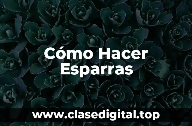 Cómo Hacer Esparras