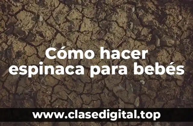 Cómo hacer espinaca para bebés