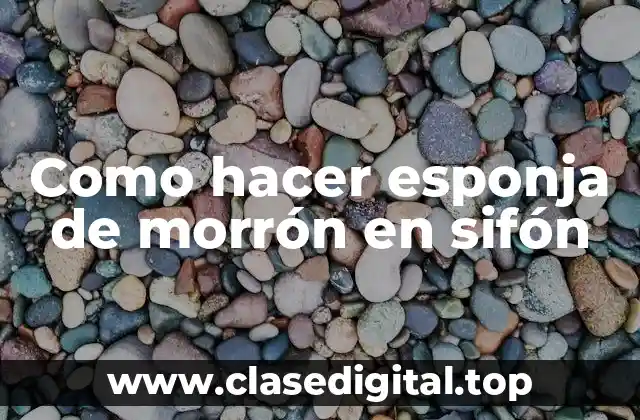 Como hacer esponja de morrón en sifón