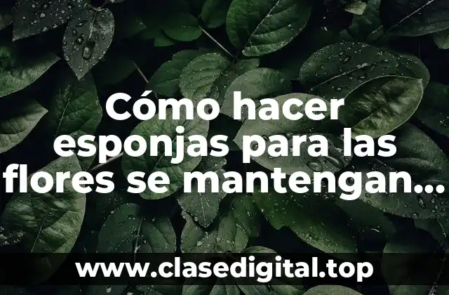 Cómo hacer esponjas para las flores se mantengan humedas