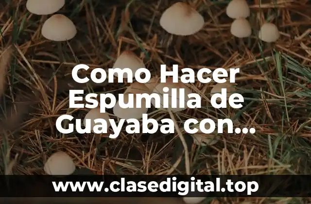 Como Hacer Espumilla de Guayaba con Batidora