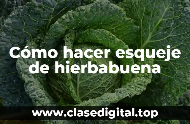 Cómo hacer esqueje de hierbabuena