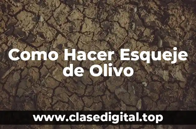 Como Hacer Esqueje de Olivo