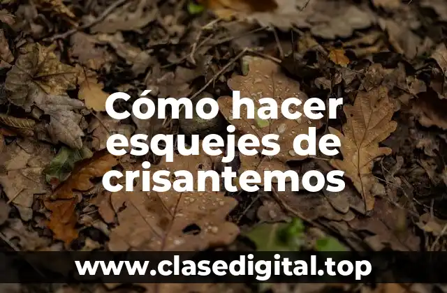 Cómo hacer esquejes de crisantemos