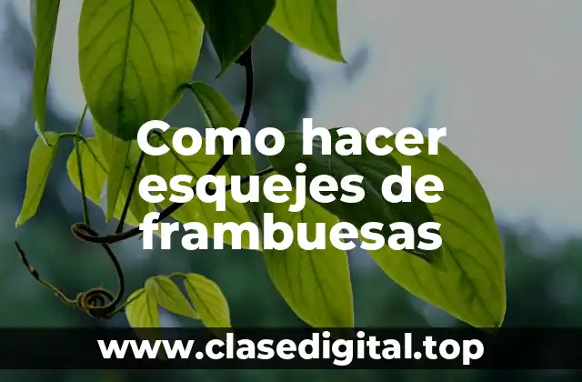 Como hacer esquejes de frambuesas