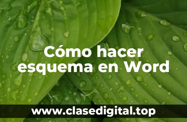 Cómo hacer esquema en Word