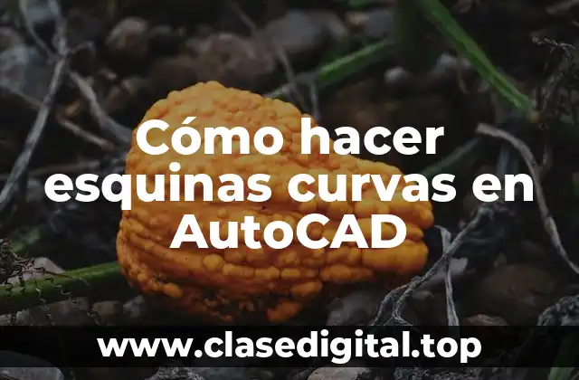 Cómo hacer esquinas curvas en AutoCAD
