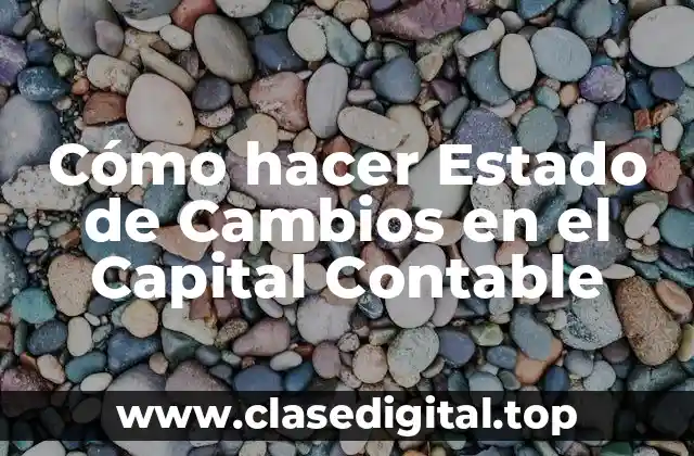 Estado de Cambios en el Capital Contable