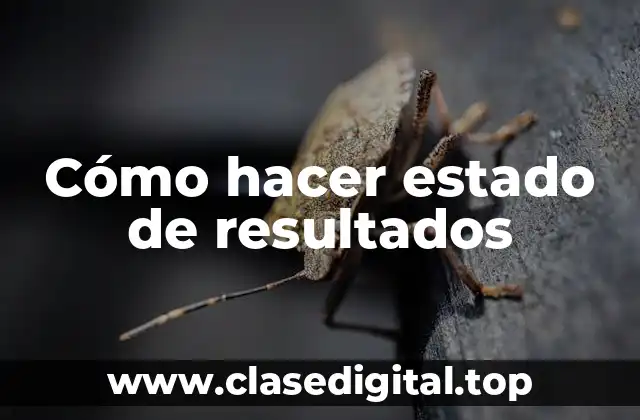Cómo hacer estado de resultados