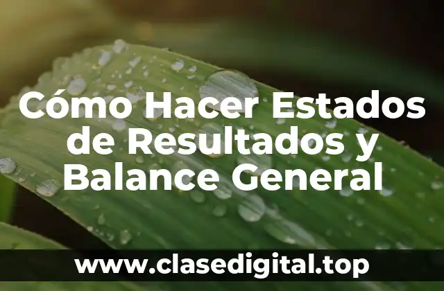 Cómo Hacer Estados de Resultados y Balance General