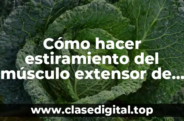Cómo hacer estiramiento del músculo extensor de los dedos