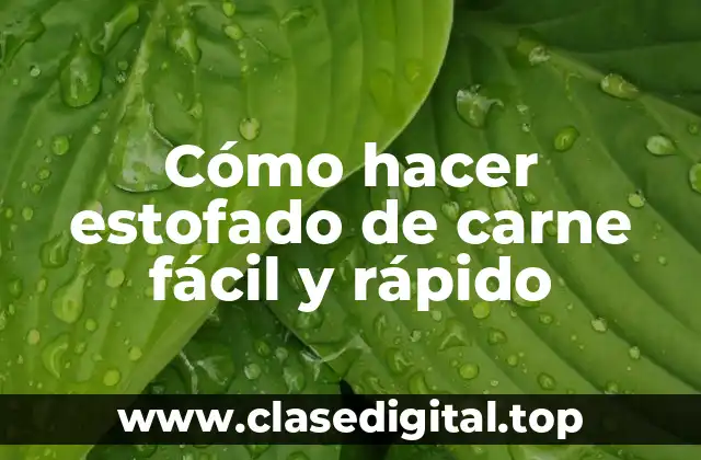 Cómo hacer estofado de carne fácil y rápido