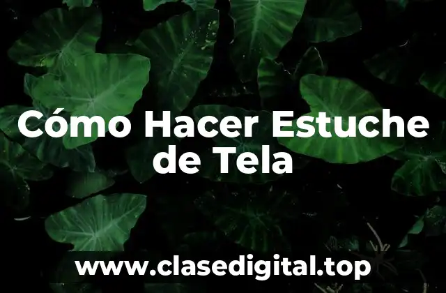 Cómo Hacer Estuche de Tela