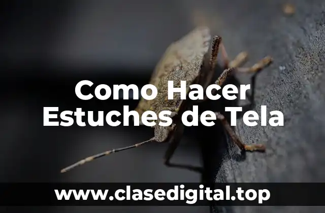 ¿Qué es un Estuche de Tela y para Qué Sirve?