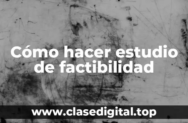 Cómo hacer estudio de factibilidad