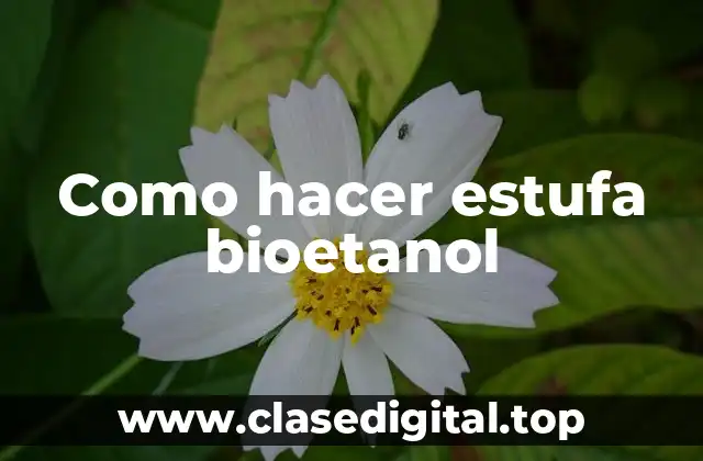 ¿Qué es una estufa bioetanol y para qué sirve?