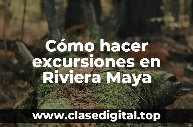 Cómo hacer excursiones en Riviera Maya