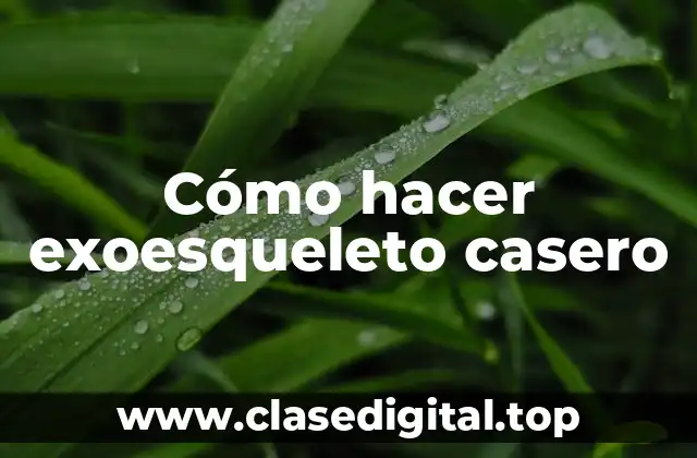 Cómo hacer exoesqueleto casero