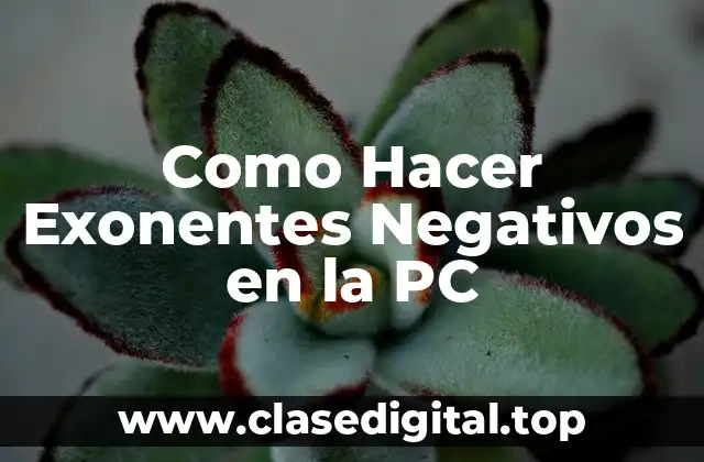 Como Hacer Exonentes Negativos en la PC